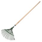 Грабли веерные, пластинчатые, 22 зубца, металл, деревянный черенок, 1 сорт - фото 24615256