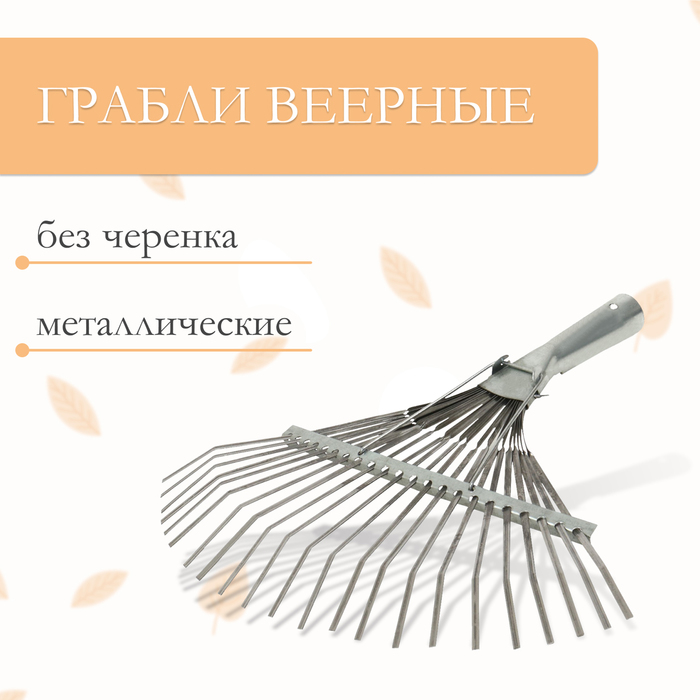 Грабли веерные, пластинчатые, 22 зубца, оцинкованная сталь, тулейка 30 мм, без черенка - Фото 1