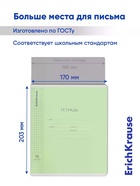 Тетрадь 18 листов в клетку ErichKrause «Классика», обложка мелованный картон, зелёная - Фото 6