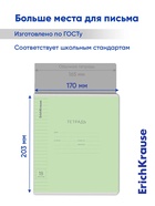 Тетрадь 18 листов в линейку, ErichKrause «Классика», обложка мелованный картон, зелёная 3511858