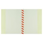 Набор обложек ПЭ 5 штук, 300×500 мм, 200 мкм, для учебников формата А4, универсальная, с закладкой, МИКС - Фото 13