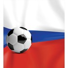 Фотопанно горизонтальное «Российский футбол», размер 100 x 150 см - Фото 2