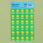 Бумажные наклейки оценки «Солнышко», 10,5 х 18 см - фото 108346422