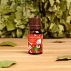 Эфирное масло "Апельсин", флакон-капельница, 10 мл - Фото 1