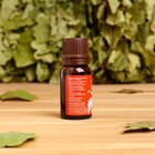 Эфирное масло "Апельсин", флакон-капельница, 10 мл - Фото 2