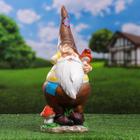 Садовая фигура "Гном островерхий с грибом" 43х17см  МИКС - Фото 2