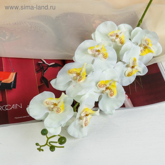 Цветы искусственные "Орхидея Фонтея" 8*90 см белая - Фото 1