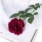 Цветы искусственные "Роза Ариозо" 9х70 см, фиолетовый - фото 8667984