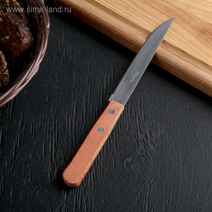 Нож кухонный «Древо», лезвие 11,5 см - Фото 1