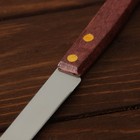 Нож кухонный «Древо», лезвие 11,5 см - Фото 3