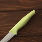 Нож для овощей кухонный «Суфле», лезвие 8,5 см, цвет зелёный - Фото 4