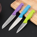 Набор кухонных ножей «Трио», 3 шт: 9,5 см, 12 см, 12,5 см, цвет МИКС - Фото 1