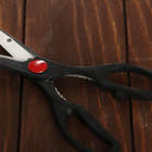 Набор ножей кухонных на подставке, 6 предметов: 5 ножей 8.5 см, 12 см, 12 см, 19.7 см, 19 см, ножницы, чёрный - Фото 9