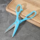 Набор ножей кухонных на подставке, 6 предметов: 5 ножей 8,5 см, 12 см, 12 см, 19,7 см, 19 см, ножницы, цвет голубой - Фото 4