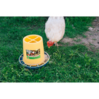 Кормушка бункерная для домашней птицы на 6 кг, цвет МИКС, «Птичий дворик» - Фото 4