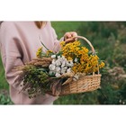 Корзина «Карина», №2, дно:19×28 см, верх:34×28 см, H=8/40 см, ручное плетение, ива - Фото 8