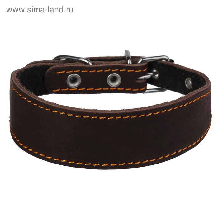 Ошейник кожаный для левретки, таксы  с синтепоном, 25-32 х 3/1,5 см, микс - Фото 1