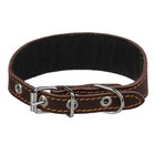Ошейник кожаный для левретки, таксы  с синтепоном, 25-32 х 3/1,5 см, микс - Фото 2