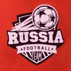 Шапка детская KAFTAN "Россия Футбол" р-р 50 (3-4 года), хл100% - Фото 2