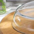 Форма для запекания Paşabahçe Borcam, 3 л, жаропрочное стекло, прозрачная - Фото 4