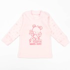 Кофта с длинным рукавом детская "Маленькие мишки", рост 74 см, цвет розовый 12841_М - Фото 1