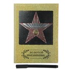 Диплом звезда "Зол. именинник" в блестящей рамке, 15 х 20 см - Фото 2