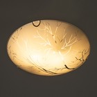 Светильник настенно-потолочный "Багульник" E27 60Вт  30 см. - фото 24395983