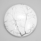 Светильник настенно-потолочный "Багульник" E27 60Вт  30 см. - фото 24395985