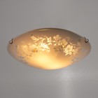 Светильник настенно-потолочный "Венок" 2лампы E27 60Вт  30 см. - фото 20814597