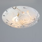 Светильник настенно-потолочный "Иней" 2лампы E27 60Вт  30 см. - фото 20814607