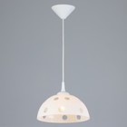 Светильник BayerLux  Колпак "Силви" 1 лампа E27 40Вт   д.250 - фото 22721164