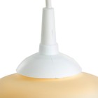 Подвес BayerLux "Мария" 1x60Вт E27 - фото 41909635