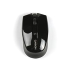 Мышь Canyon CNS-CMSW5B, беспроводная, оптическая, 2.4 Гц, 1600 dpi, 4 кнопки, USB, черная - Фото 3