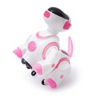 Игрушка-робот «Собака», работает от батареек, световые и звуковые эффекты, танцует, цвета МИКС - Фото 3