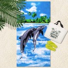 Полотенце махровое велюр "Дельфины" 70х140 см,320 г/м2,хлопок 100% - Фото 1