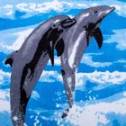 Полотенце махровое велюр "Дельфины" 70х140 см,320 г/м2,хлопок 100% - Фото 2