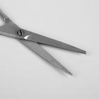 Ножницы парикмахерские с упором, лезвие — 6 см, цвет серебряный - Фото 3