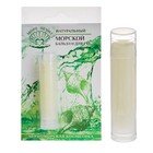 Бальзам для губ "МореЛечит" Ламинария и фейхоа, 5 мл - Фото 5
