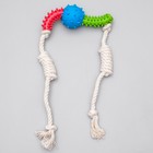 Игрушка канатная с жевательными элементами "Зубочистка", до 60 см, микс цветов - Фото 2
