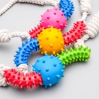 Игрушка канатная с жевательными элементами "Зубочистка", до 60 см, микс цветов - Фото 6