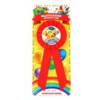 Значок - орден на выпускной «Выпускник детского сада», d=6.7 см - Фото 2