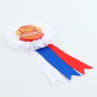 Значок - орден на выпускной «Выпускник начальной школы», d=6.7 см - Фото 4