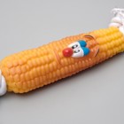 Игрушка на канате "Кукуруза" для собак, 30 см (кукуруза 14 см) - Фото 2