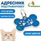 Адресник под гравировку «Косточка с лапками», 3×1.5 см, фасовка по 6 шт., микс цветов - Фото 1