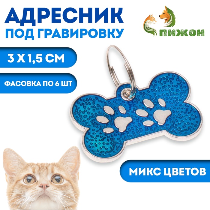Адресник под гравировку «Косточка с лапками», 3×1.5 см, фасовка по 6 шт., микс цветов - Фото 1