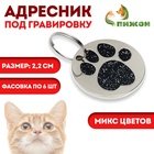 Адресник под гравировку "Блестящая лапка", 2,2 см, фасовка по 6 шт, микс цветов - Фото 1