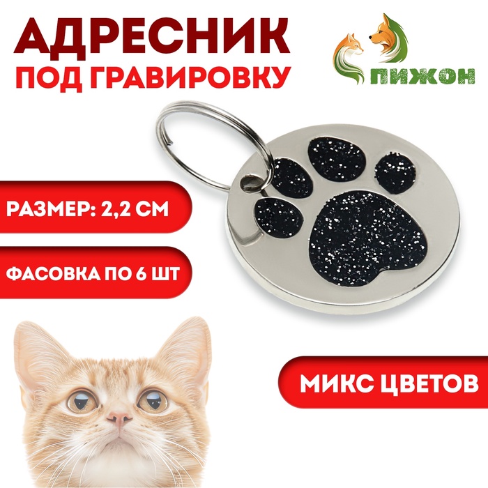 Адресник под гравировку "Блестящая лапка", 2,2 см, фасовка по 6 шт, микс цветов - Фото 1