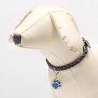 Адресник под гравировку "Блестящая лапка", 2,2 см, фасовка по 6 шт, микс цветов - Фото 6