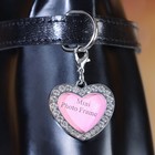 Адресник под записку «Сердечко», 3×3 см, металл, серебристый - Фото 7