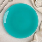 Тарелка, d=24 см, цвет голубой - Фото 1